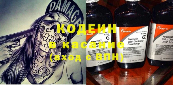 хмурый Алзамай