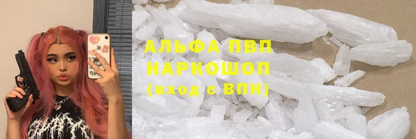 хмурый Алзамай