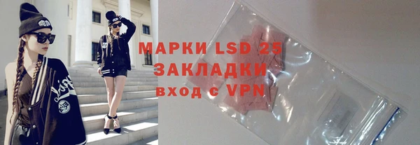 хмурый Алзамай