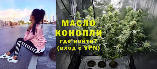 дмт Абаза