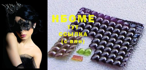 хмурый Алзамай